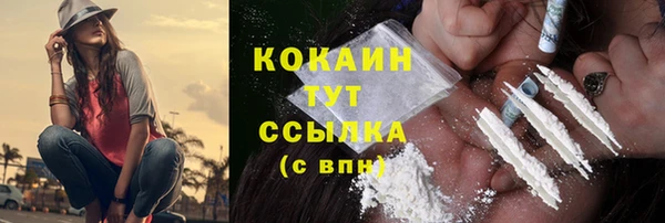 твердый Арсеньев