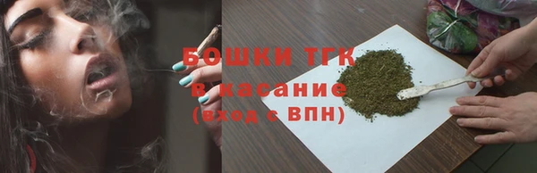 твердый Арсеньев