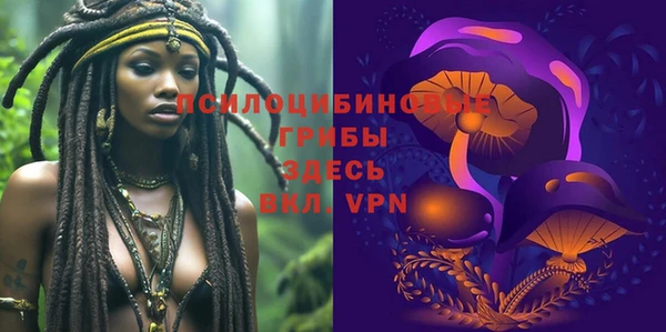 дурь Армянск