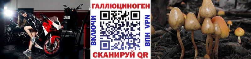 купить наркотики сайты  Урус-Мартан  Галлюциногенные грибы Magic Shrooms 